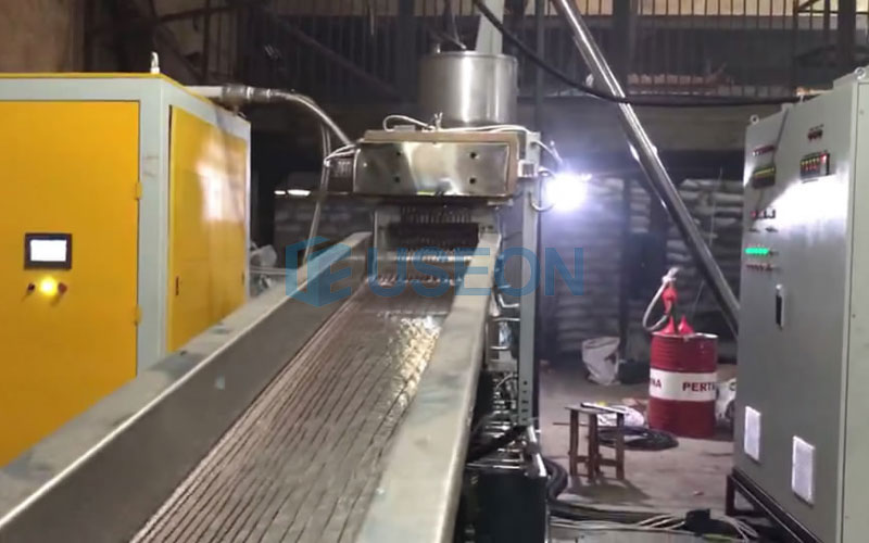 350~450kg/h PET Popcorn Recycling Line in Indonesia
