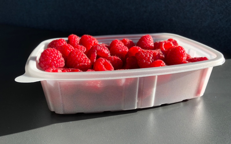 PLA foam tray raspberrys