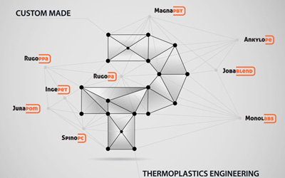 Engineering Plastic Politem